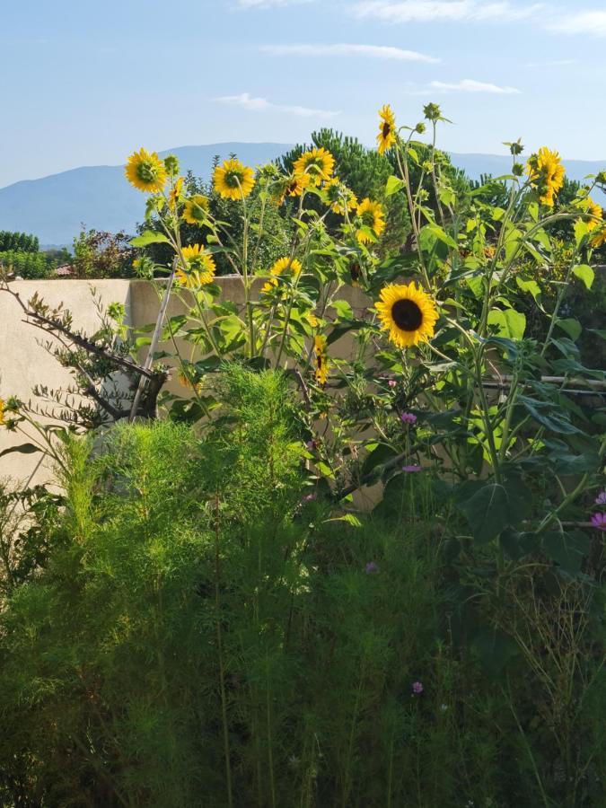 Petit Gite De Provence 마잔 외부 사진