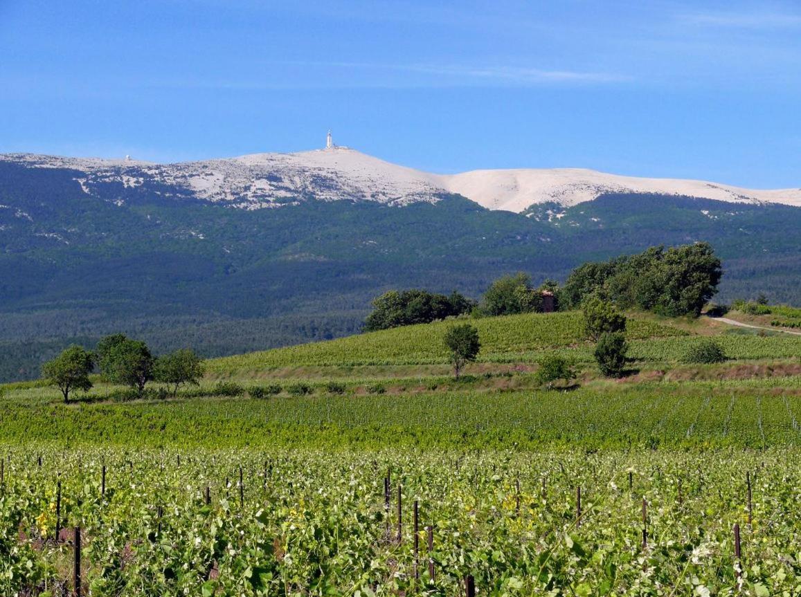 Petit Gite De Provence 마잔 외부 사진
