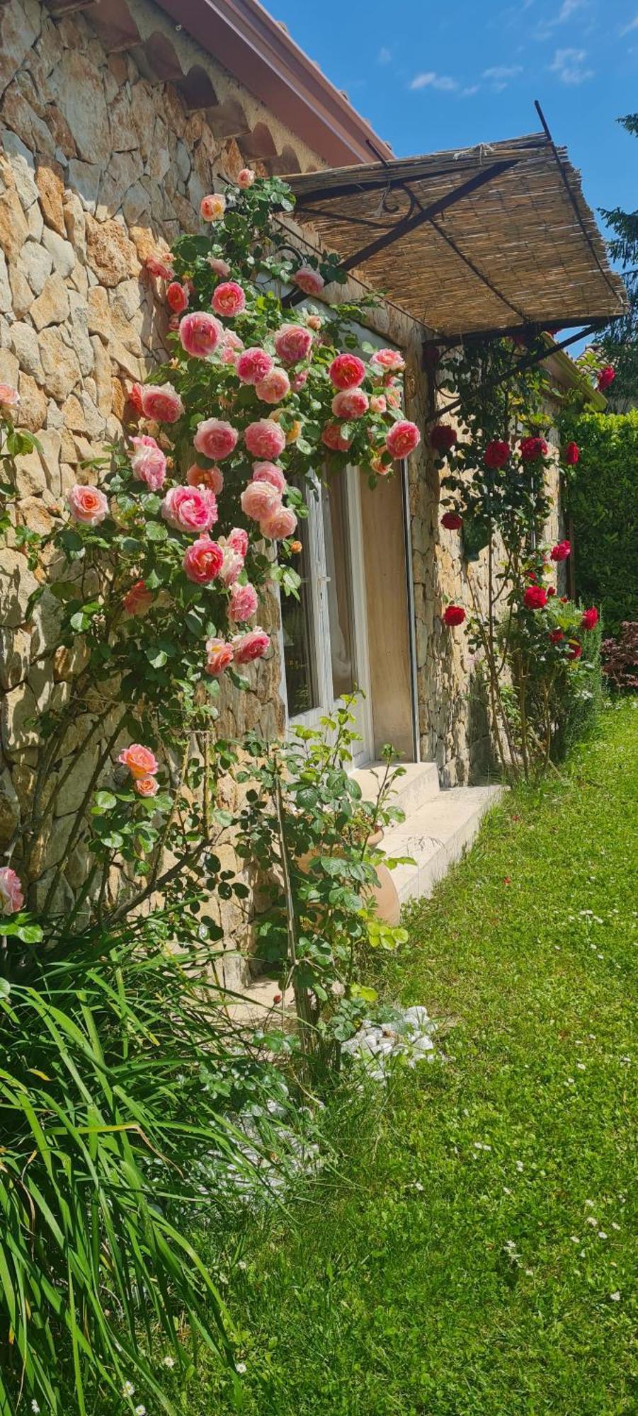 Petit Gite De Provence 마잔 외부 사진